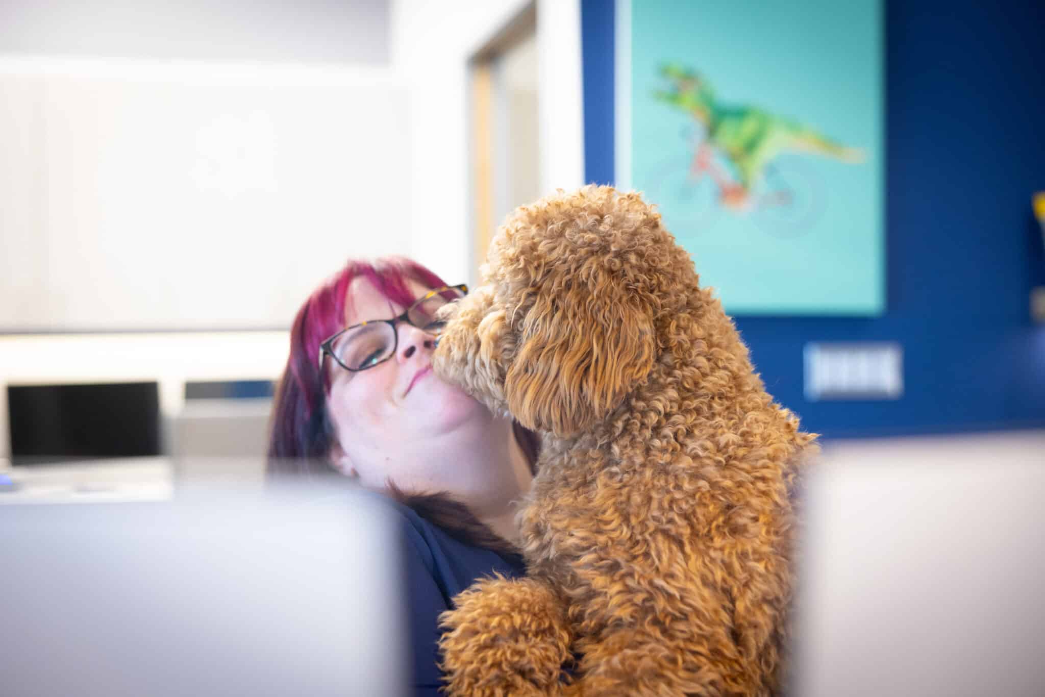Staff Candids at Petrous Orthodontics Royal Oak, MI